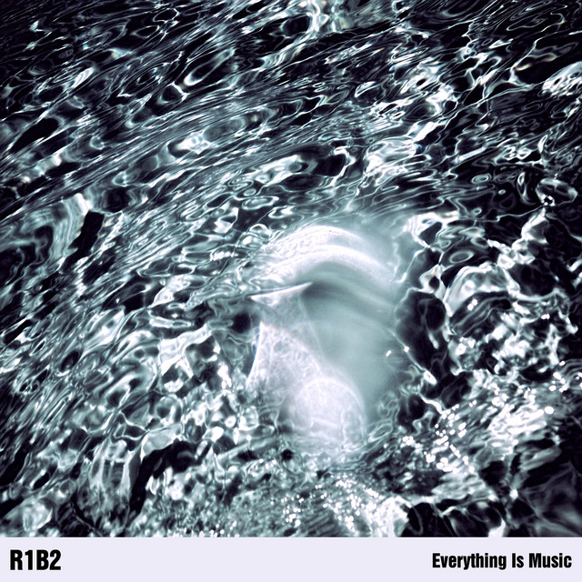 Everything Is Music cover art