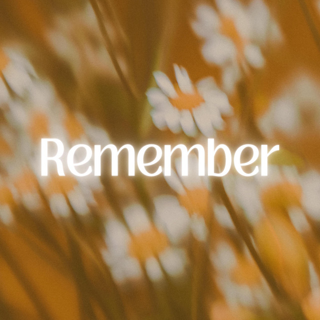 Remember cover art