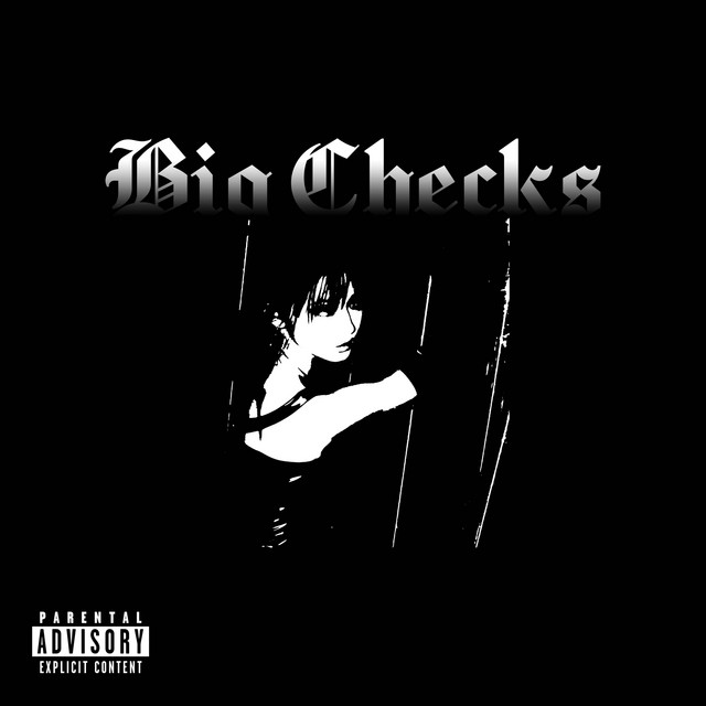 BIG CHECKS cover art