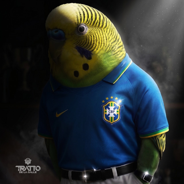 Joga o Periquitão [Arrocha Bolha]