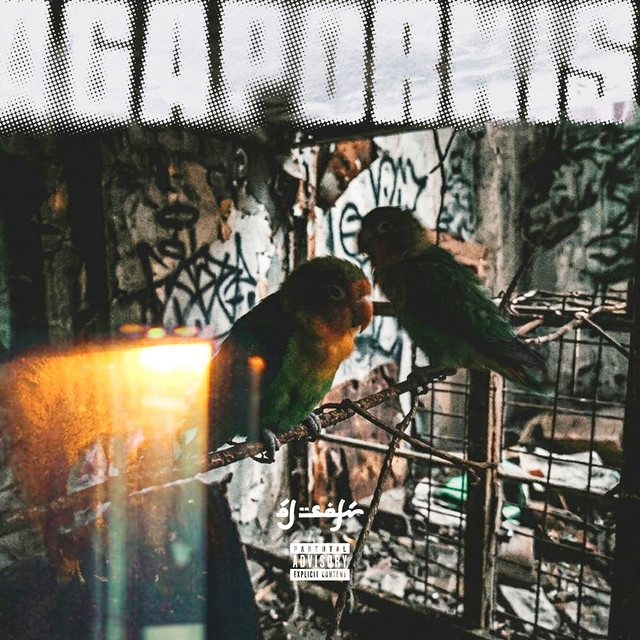 Agapornis cover art