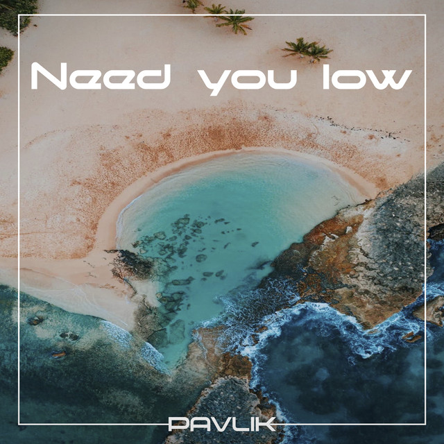 Обкладинка: Need you low — Pavlik