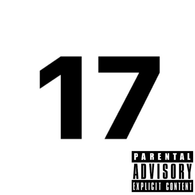 17. cover art