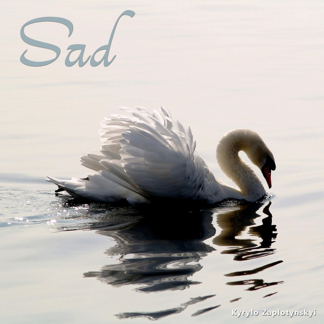 Обкладинка: Sad — Kyrylo Zaplotynskyi