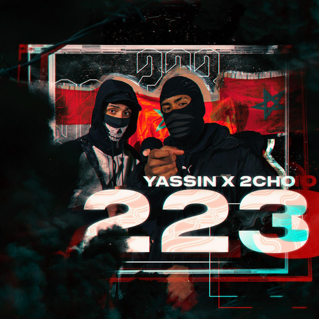 223 cover art