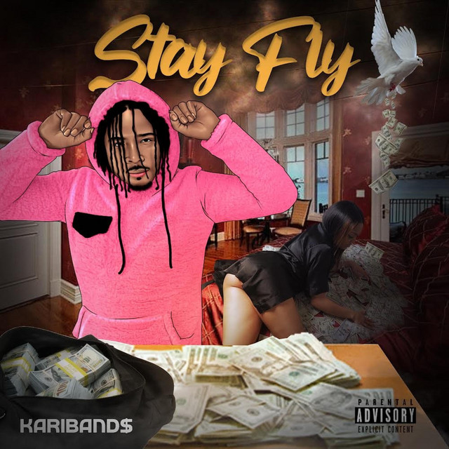 Stay Fly Single By Kari Band Spotify
