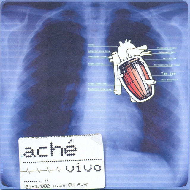 Vivo cover art
