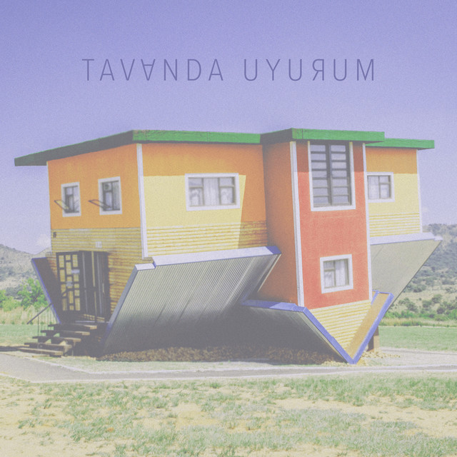 Tavanda Uyurum cover art