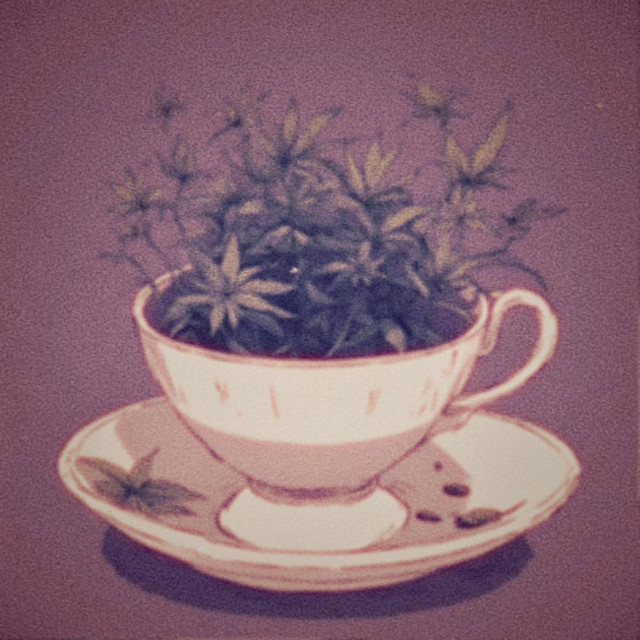 tea tree