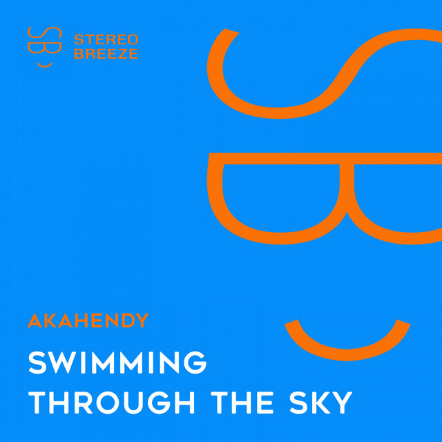 Swimming Through The Sky cover art
