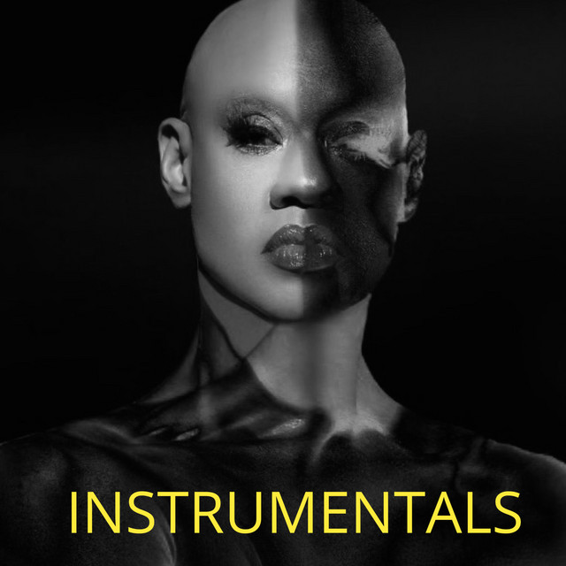 HIPPOPOTAMUS! (Instrumentals) cover art