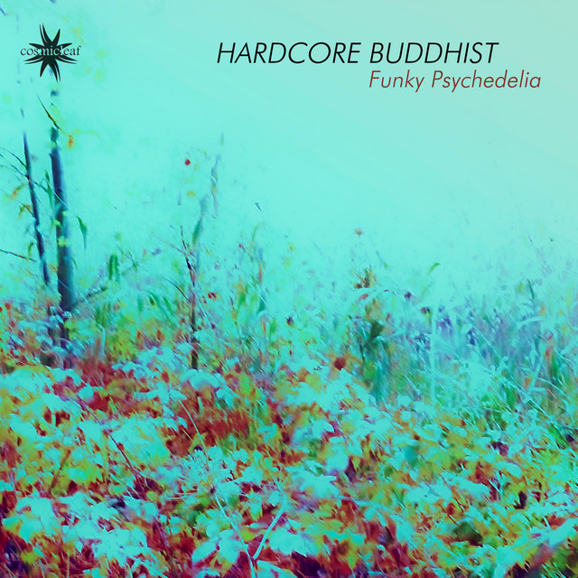 Cover art for Hardcore Buddhist — Funky Psychedelia