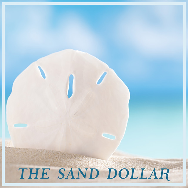 The Sand Dollar cover art