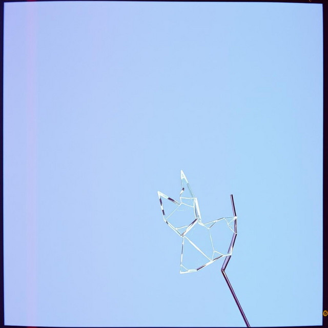 The night wind blows