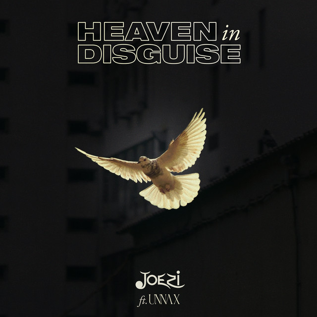 Heaven in Disguise - Extended Mix