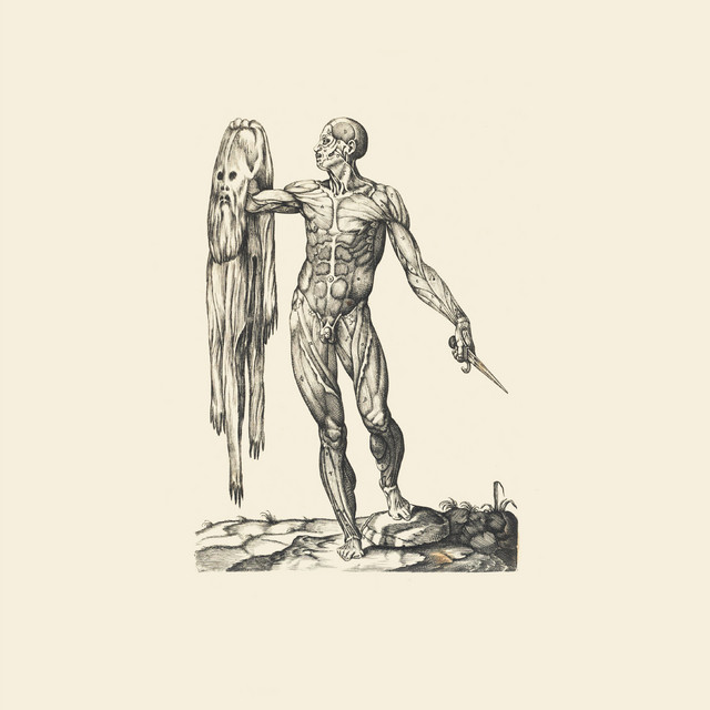 Observation of Breath cover art