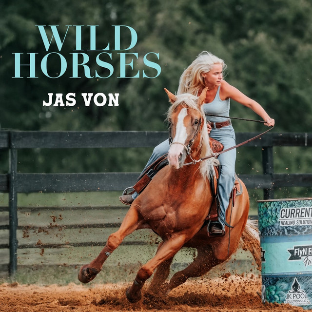 Wild Horses album image