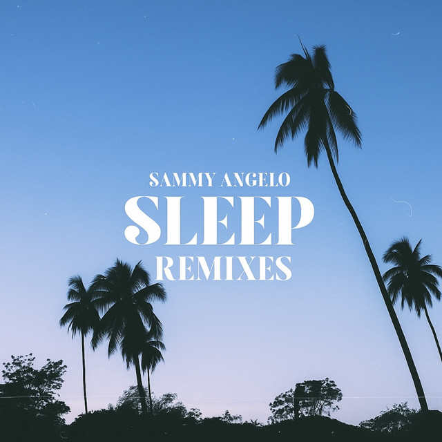 Sleep - Beyond Chicago Remix cover art