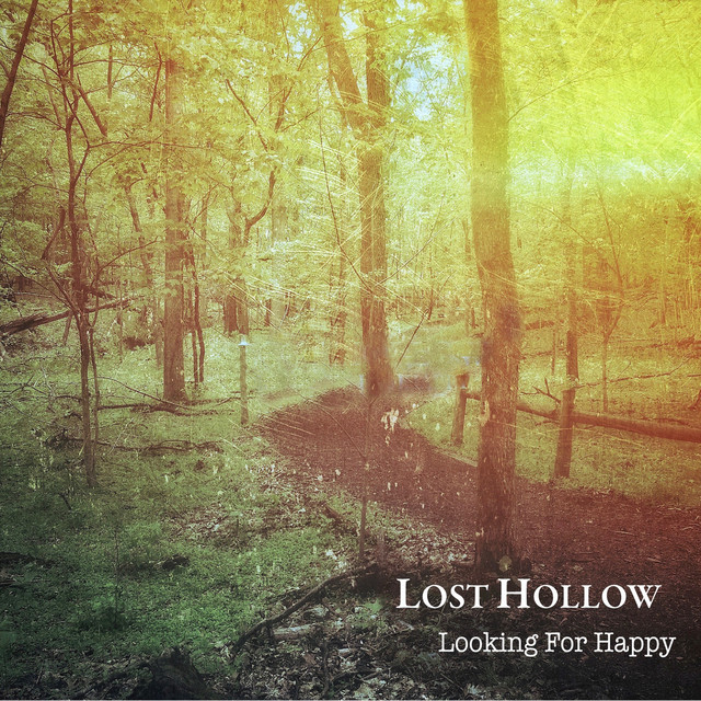 Looking for Happy cover art