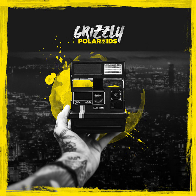 Polaroids cover art