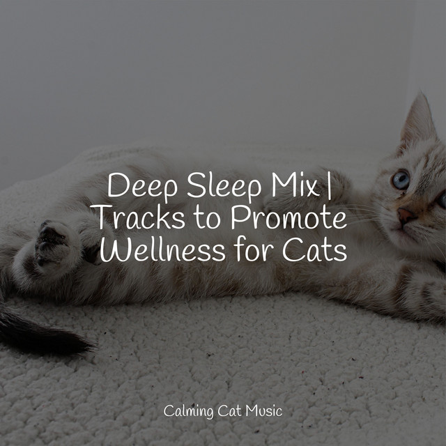 Deep Sleep Mix | Tracks to Promote Wellness for Cats - Album by Jazz ...