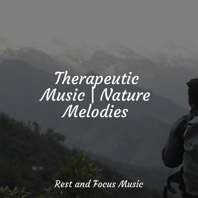 Therapeutic Music | Nature Melodies - Album by Ambiente | Spotify
