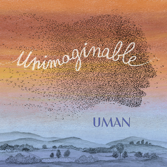 Unimaginable cover
