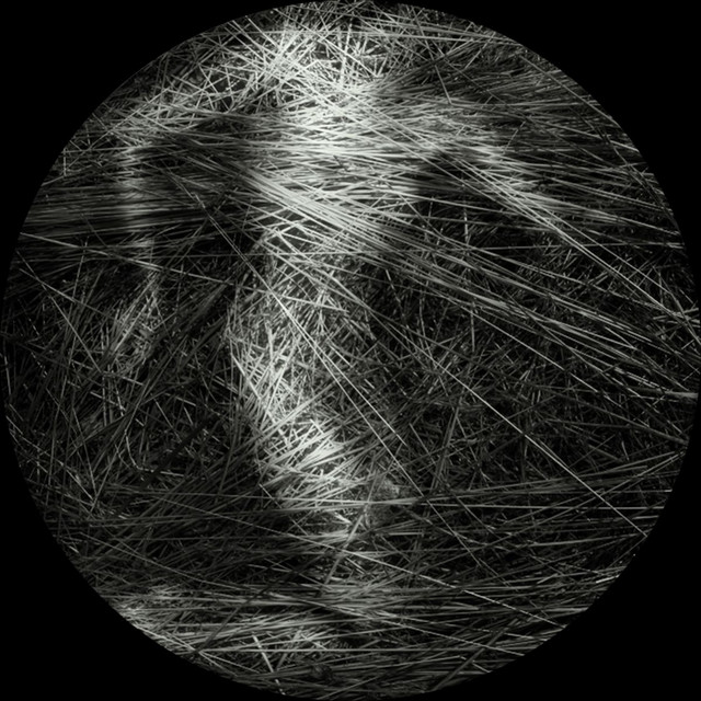Substances & Perceptions cover art
