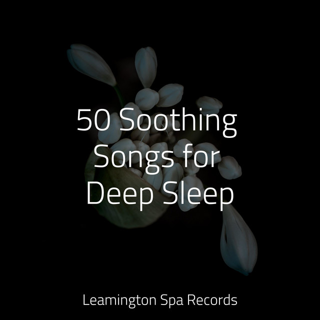 50 Soothing Songs for Deep Sleep - Album by Spa Music Collective | Spotify