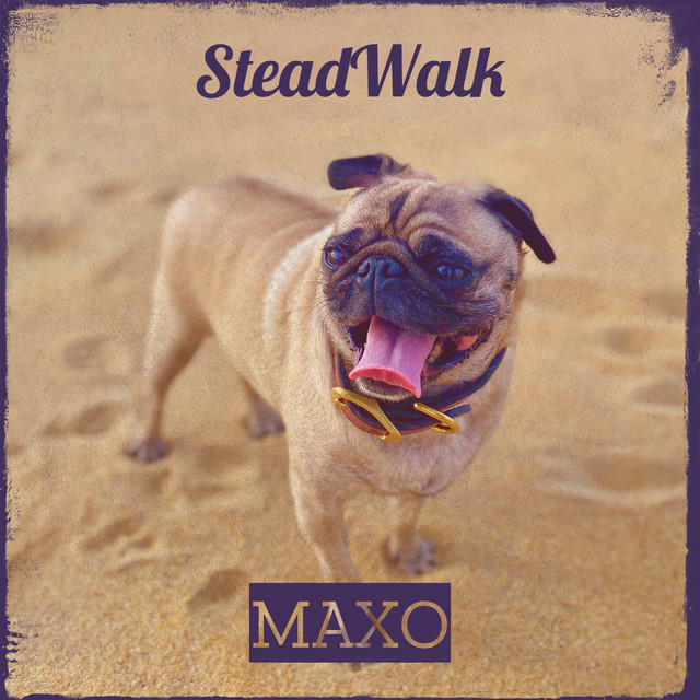 SteadWalk cover art