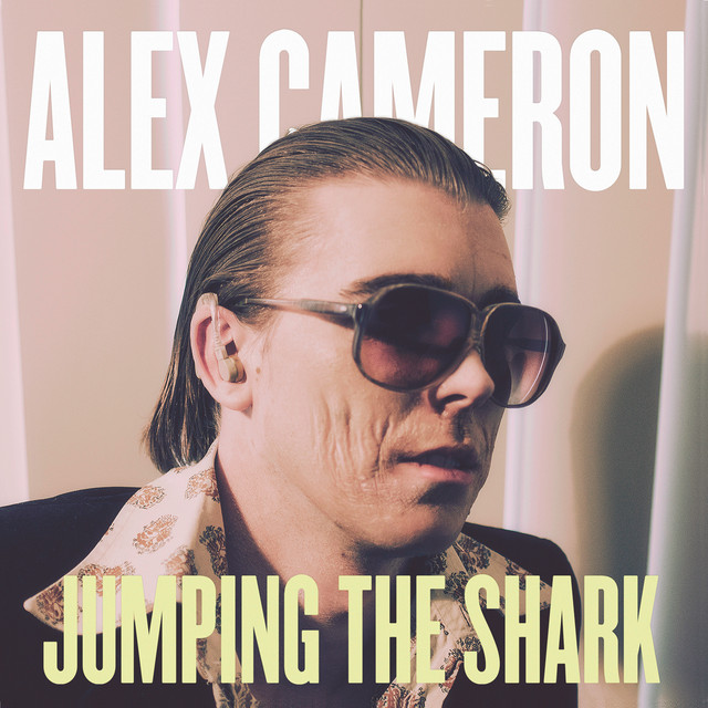 Jumping The Shark cover art