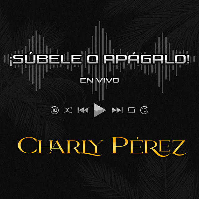 Sin Respiración - En Vivo cover art