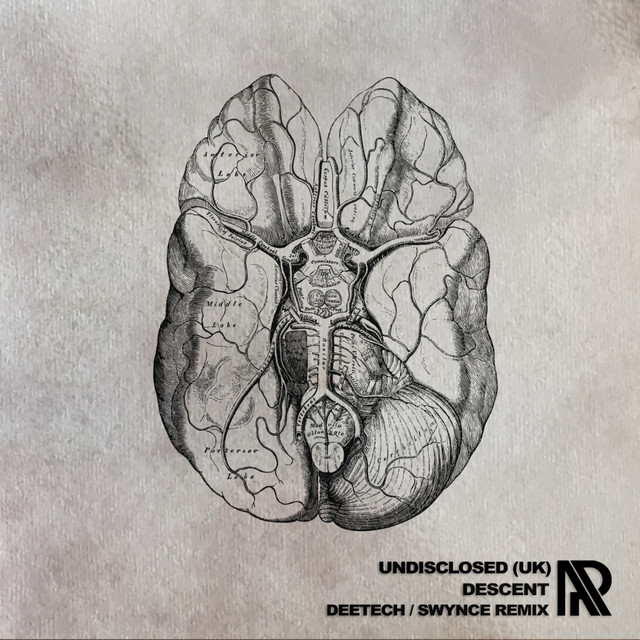 Descent - Swynce Remix cover art