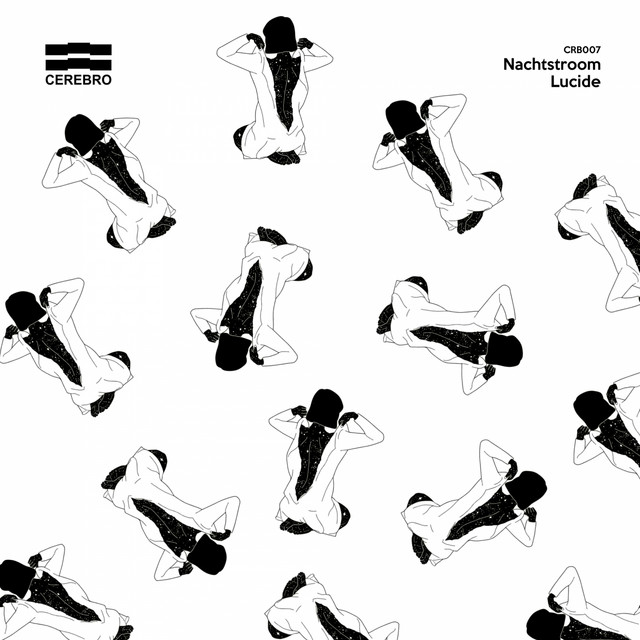 Lucide cover art