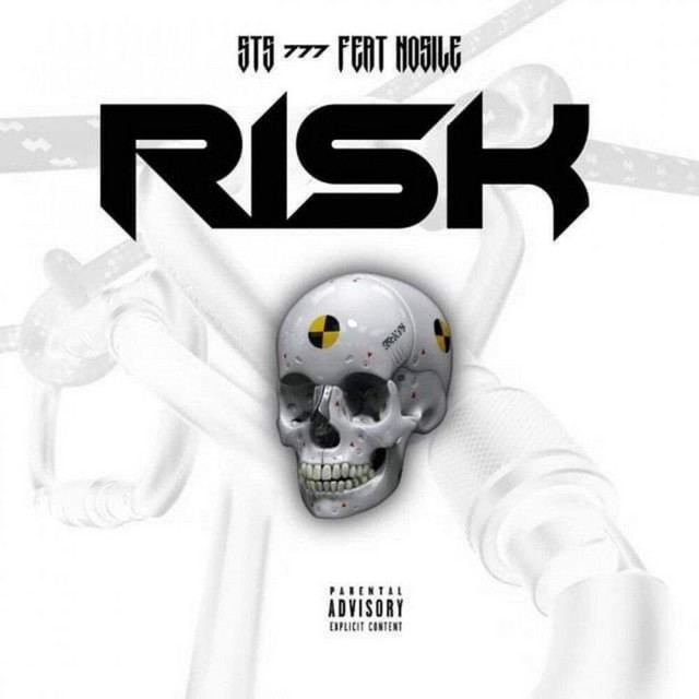 Risk cover art