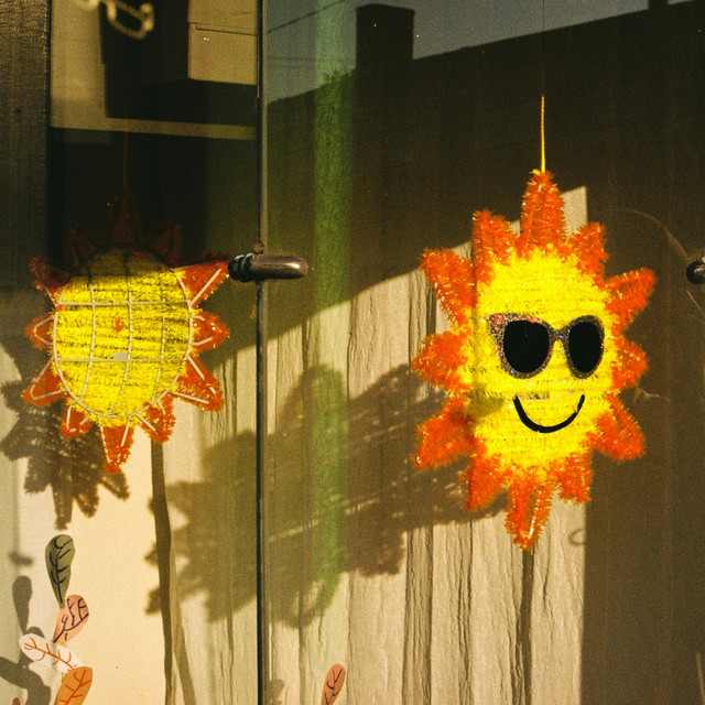 sunny cover art