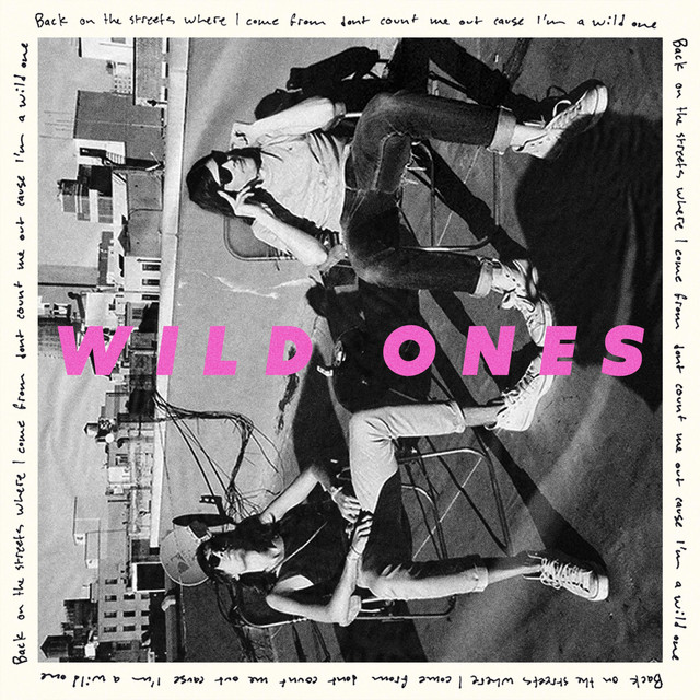 Wild Ones cover art