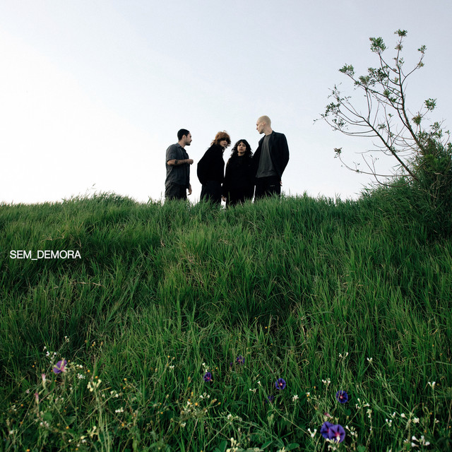 Sem_demora cover art