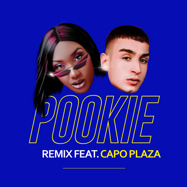 Pookie (feat. Capo Plaza) [Remix] cover art