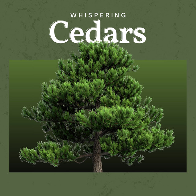 Whispering Cedars cover