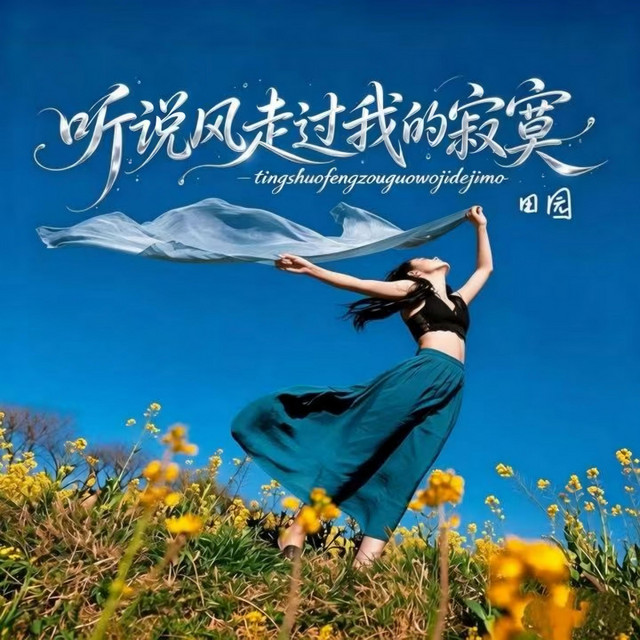 听说风走过我的寂寞- Single by 田园| Spotify