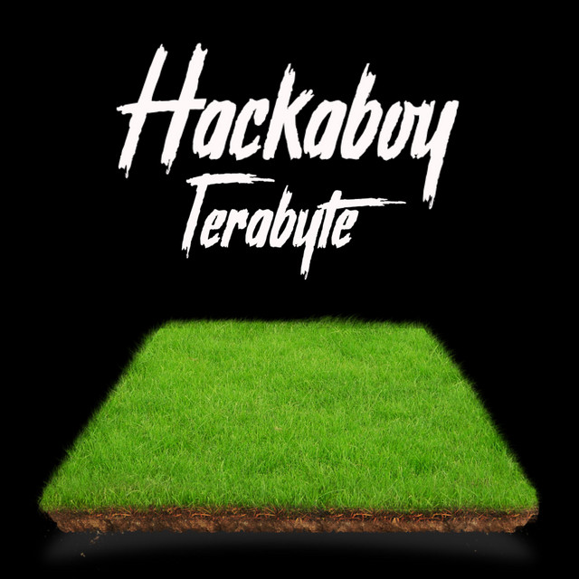 Hackaboy cover art