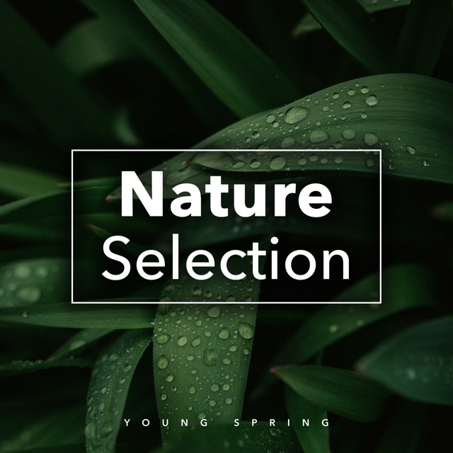 Nature cover art