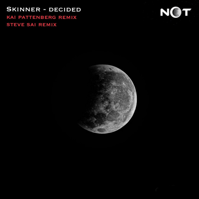 Cover art for Skinner (UA) — DECIDED - REMIXES