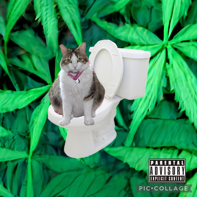MS. MISCHIEVOUS cover art