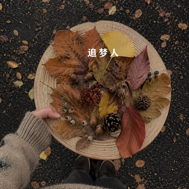 追梦人- song and lyrics by 洋澜一| Spotify