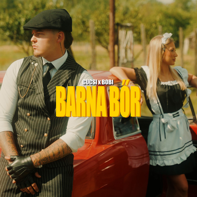 Barna BŐr