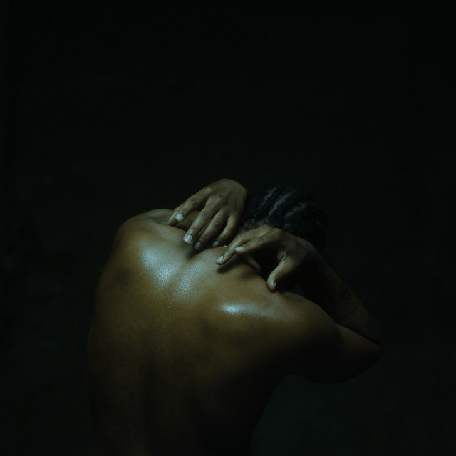 Cover du titre Who Did You Touch?