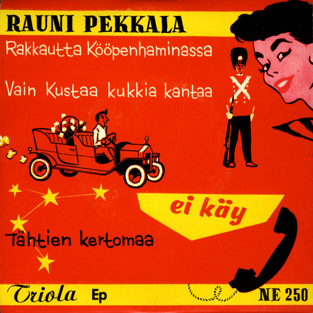 Ei käy cover