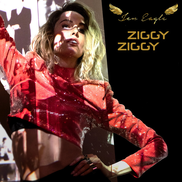 Ziggy Ziggy cover art